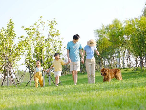Happy family of four walking dogs in the park - Photo, image