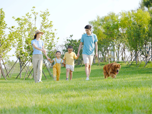Happy family of four walking dogs in the park - Zdjęcie, obraz