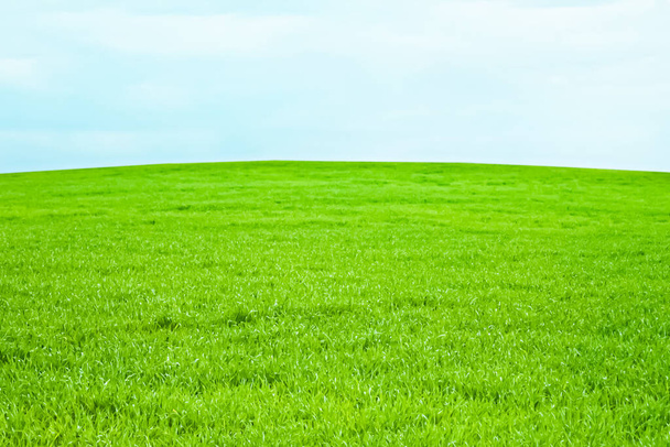 緑のフィールドと雲と青空、自然と環境の背景として美しい牧草地 - 写真・画像