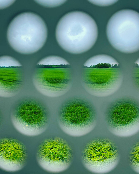 Вид на зеленое сельское хозяйство, проносящееся через забор с круглыми отверстиями. - Фото, изображение