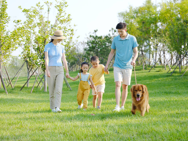 Happy family of four walking dogs in the park - Photo, Image