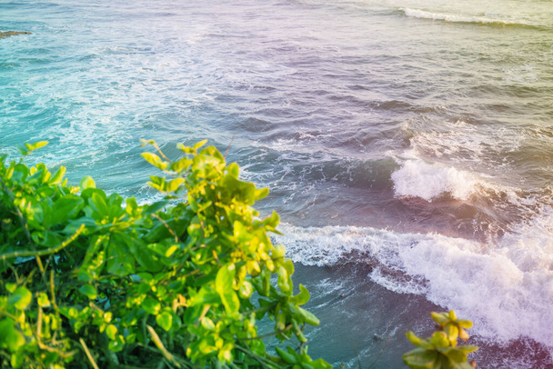 Beautiful waves of stormy ocean and bright green tree in tropical paradise. - 写真・画像