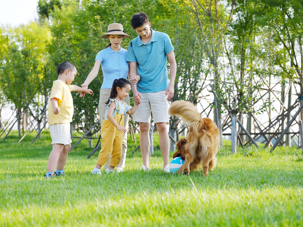 Boldog család négy és kisállat kutya játszik a parkban - Fotó, kép