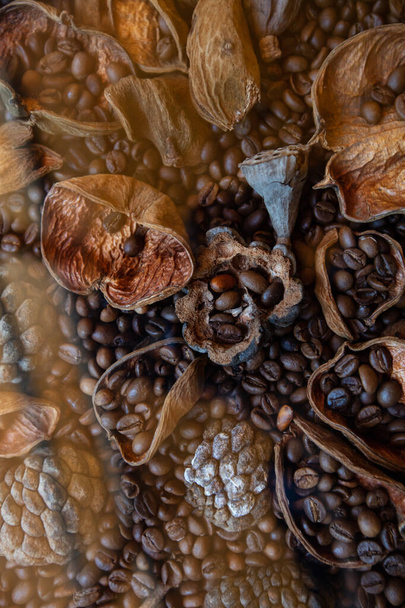 Kurutulmuş meyve, kahve çekirdekleri desenli arka plan. - Fotoğraf, Görsel