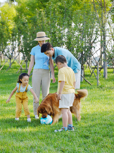 Happy family of four and pet dog playing in the park - Fotó, kép