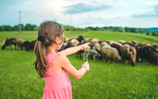Enfant avec moutons et chèvres dans la prairie. Concentration sélective. Nature. - Photo, image
