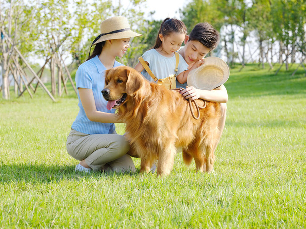 Happy family of three and pet dog in outdoor photo - Φωτογραφία, εικόνα