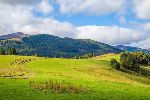 colinas cubiertas de hierba con un camino rural sobre un fondo de montañas y árboles con un cielo azul con nubes. Hermoso paisaje. - Foto, imagen