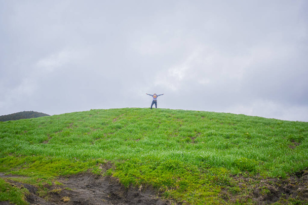 Сверху молодое, поле с настоящей травой пасмурное небо - Фото, изображение
