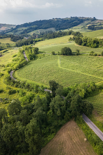 Veduta aerea della campagna con vigneti colline e boschi a Oltrepo Pavese con curve stradali - Foto, immagini
