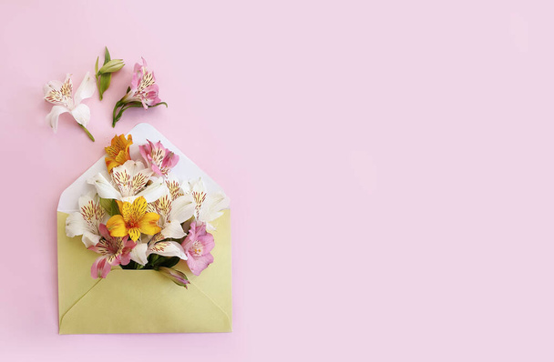 конверт, квітка альстромерії на кольоровому фоні
 - Фото, зображення