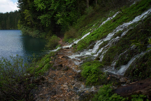Водоспади в національному парку Дурмітор (Чорногорія). - Фото, зображення
