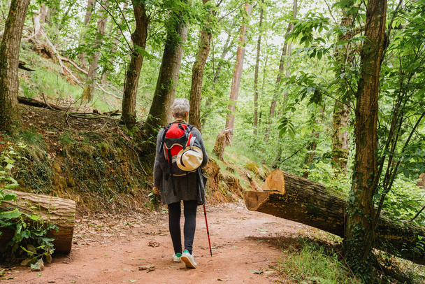 mulher aposentada com cabelos grisalhos caminhando por uma floresta. maturidade e vida saudável. - Foto, Imagem