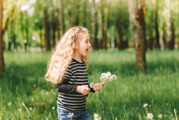 Küçük gülen kız yazın parkta beyaz karahindiba topluyor. - Fotoğraf, Görsel