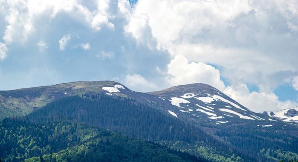 Yazın yeşil ormanın arka planında karla kaplı Karpatlar, güzel bir manzara. - Fotoğraf, Görsel