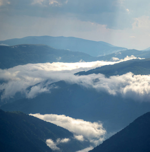 Piękna panorama Karpat latem we mgle i mgle po deszczu - Zdjęcie, obraz