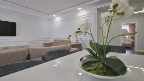 Apartamento estúdio de luxo com cozinha e sala de estar em estilo moderno - Filmagem, Vídeo