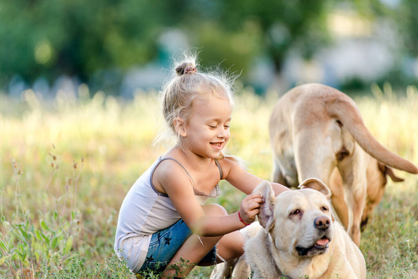 Mała dziewczynka bawi się labradorem w parku.. - Zdjęcie, obraz