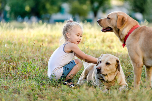 Little girl is playing with a labrador in the park. - Photo, Image