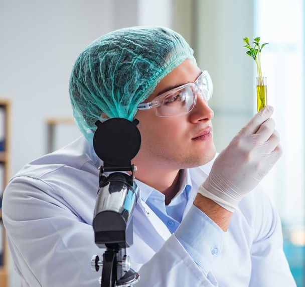 Naukowiec biotechnologii pracujący w laboratorium - Zdjęcie, obraz