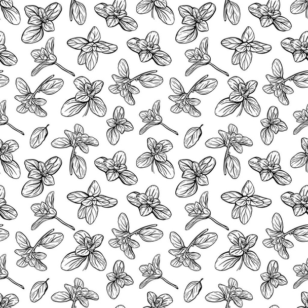  Basil Seamless Pattern. Italian herbs.A sprig of marjoram. Basil is a fragrant and fragrant seasoning. Hand-drawn illustration - Vector, Image