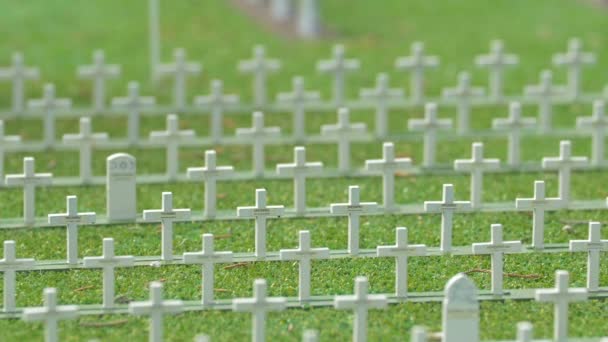 Filas de cruces blancas en un cementerio  - Imágenes, Vídeo