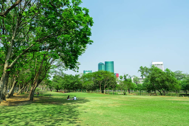 Park in Bangkok Thailand concept Stadspark onder de blauwe hemel met bouwachtergrond. - Foto, afbeelding