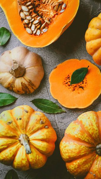 Pumpkin soup, On a gray background with pumpkins, Autumn atmosphere, Top view, Selective focus  - Foto, afbeelding
