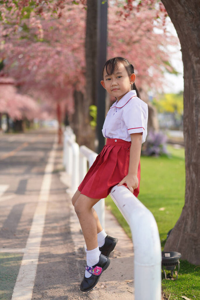 Happy Asian kindergarten little girl in garden under the blossom sakura tree background - 写真・画像