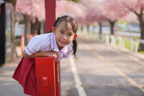 Happy Asian kindergarten little girl in garden under the blossom sakura tree background - Foto, imagen