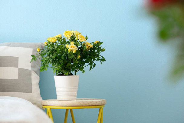 Mooie gele rozen in pot op nachtkastje nabij kleur muur - Foto, afbeelding