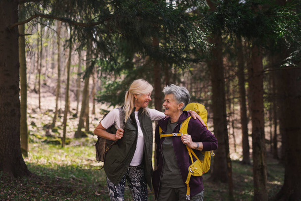 Senior women hikers outdoors walking in forest in nature, talking. - Fotoğraf, Görsel