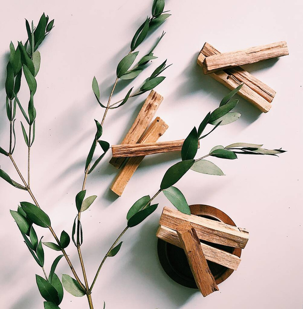 Beautiful layout of palo santo sticks on a neutral background with eucalyptus leaves - 写真・画像