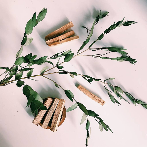 Beautiful layout of palo santo sticks on a neutral background with eucalyptus leaves - Fotoğraf, Görsel