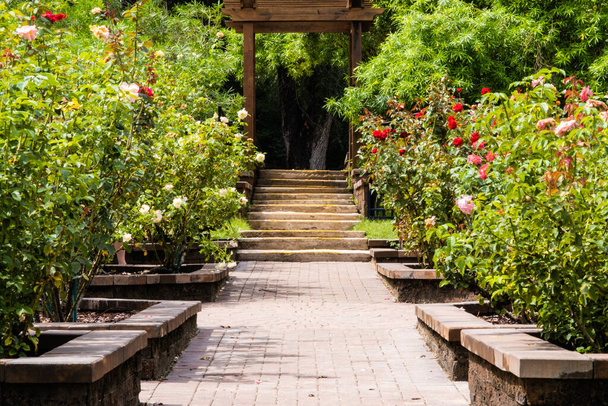 An urban sidewalk with flowers and plants on both sides in the park - Φωτογραφία, εικόνα