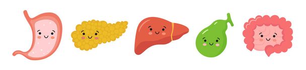 Organi del tratto gastrointestinale in stile kawaii. Pancia sorridente, pancreas, fegato, cistifellea, intestino tenue e crasso. Illustrazione isolata vettoriale in stile piatto e cartone animato - Vettoriali, immagini