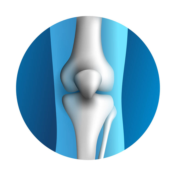 3D ikona kolenního synovského kloubu - Vektor, obrázek