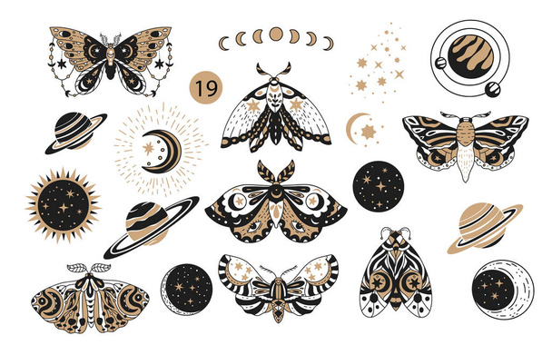 Bohemian boho butterfly decorative vector logo set. - Vector, Image