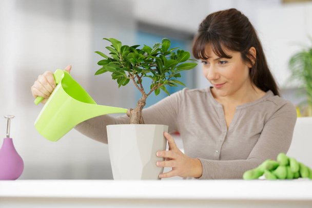 woman watering bonsai and woman - Zdjęcie, obraz