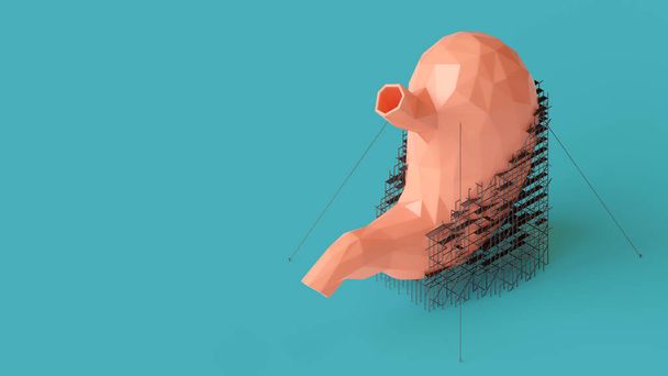 3D illusztráció alacsony poli emberi gyomor javítás koncepció - Fotó, kép