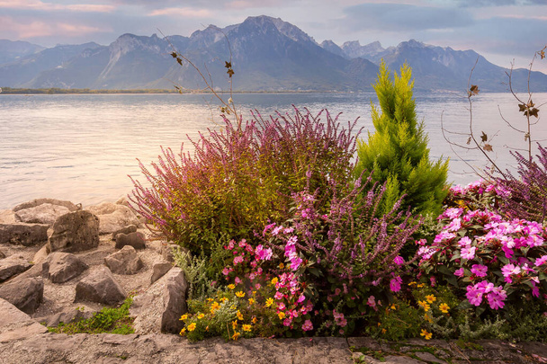 Flores florescendo no calçadão do Lago de Genebra, Montreux Riviera, Suíça, montanhas dos Alpes Suíços - Foto, Imagem
