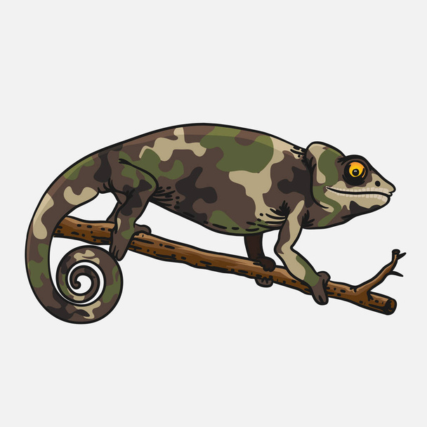 Chameleon uniform illustrator cute animal template - Vector, Image