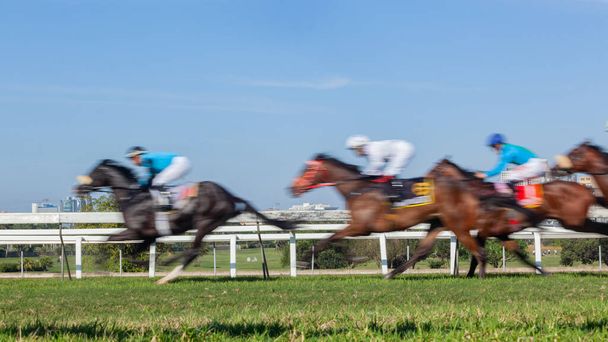 Paard Racing closeup bewegingssnelheid vervagen onherkenbaar jockeys en paarden op gras turf track draait rijden actie closeup foto panoramisch beeld. - Foto, afbeelding