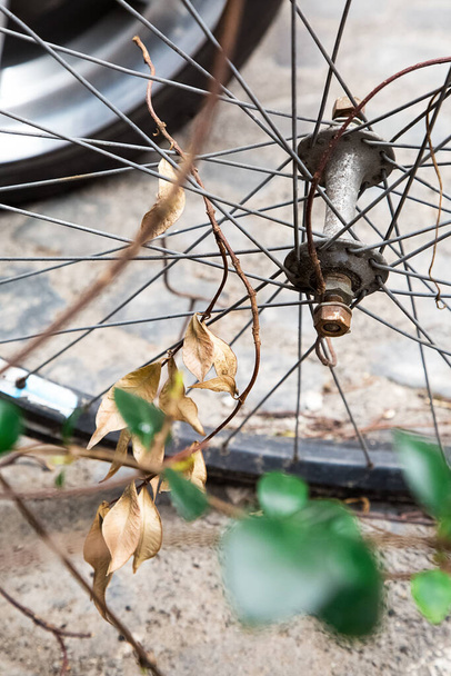Παλιός τροχός ποδηλάτου με στεγνά φύλλα πεταμένα στην πόλη. τροχός αυτοκινήτου στο παρασκήνιο. Σκουπίδια στην πόλη. παλιοσίδερα Οικολογικό πρόβλημα ρύπανσης. Εγκαταλελειμμένα παλιά πράγματα. Έννοια γήρανσης - Φωτογραφία, εικόνα