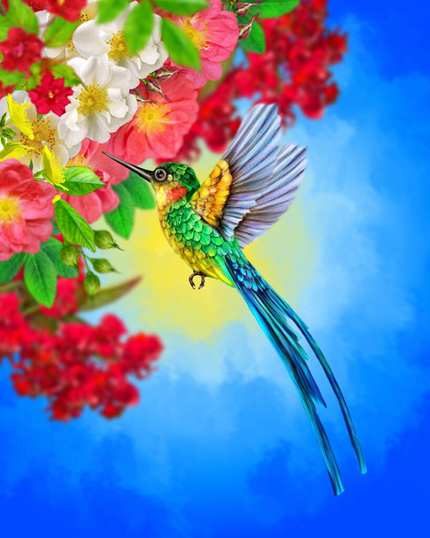 Summer, spring bright sunny background, a hummingbird bird flies, branches of a tree blooming with red, pink, white, tropical flowers, sky - Zdjęcie, obraz