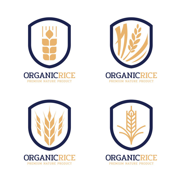 signe de logo de riz biologique avec riz paddy moderne en or marine dans un cadre vintage design vectoriel de bordure - Vecteur, image