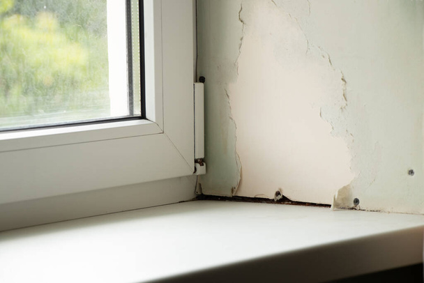 ventana sucia con un alféizar con moho de la humedad, hongo en la ventana en el apartamento, reparación - Foto, Imagen