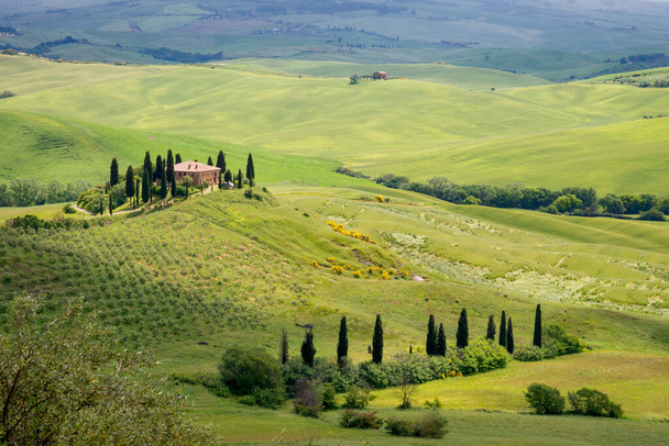 PIENZA, TUSCÂNIA / ITÁLIA - MAIO 20: Terras agrícolas perto de Pienza, na Toscana, em 20 de maio de 2013 - Foto, Imagem