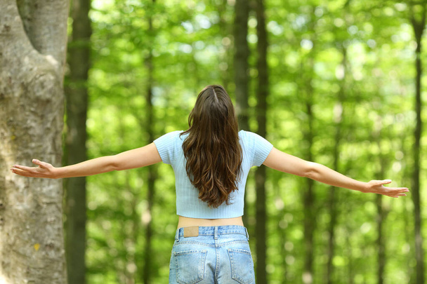 Back view of a happy woman outstretching arms in a forest - Foto, Imagen
