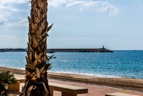 Vue sur la plage et la promenade de Villajoyosa avec ses palmiers au premier plan, Alicante, Espagne. - Photo, image